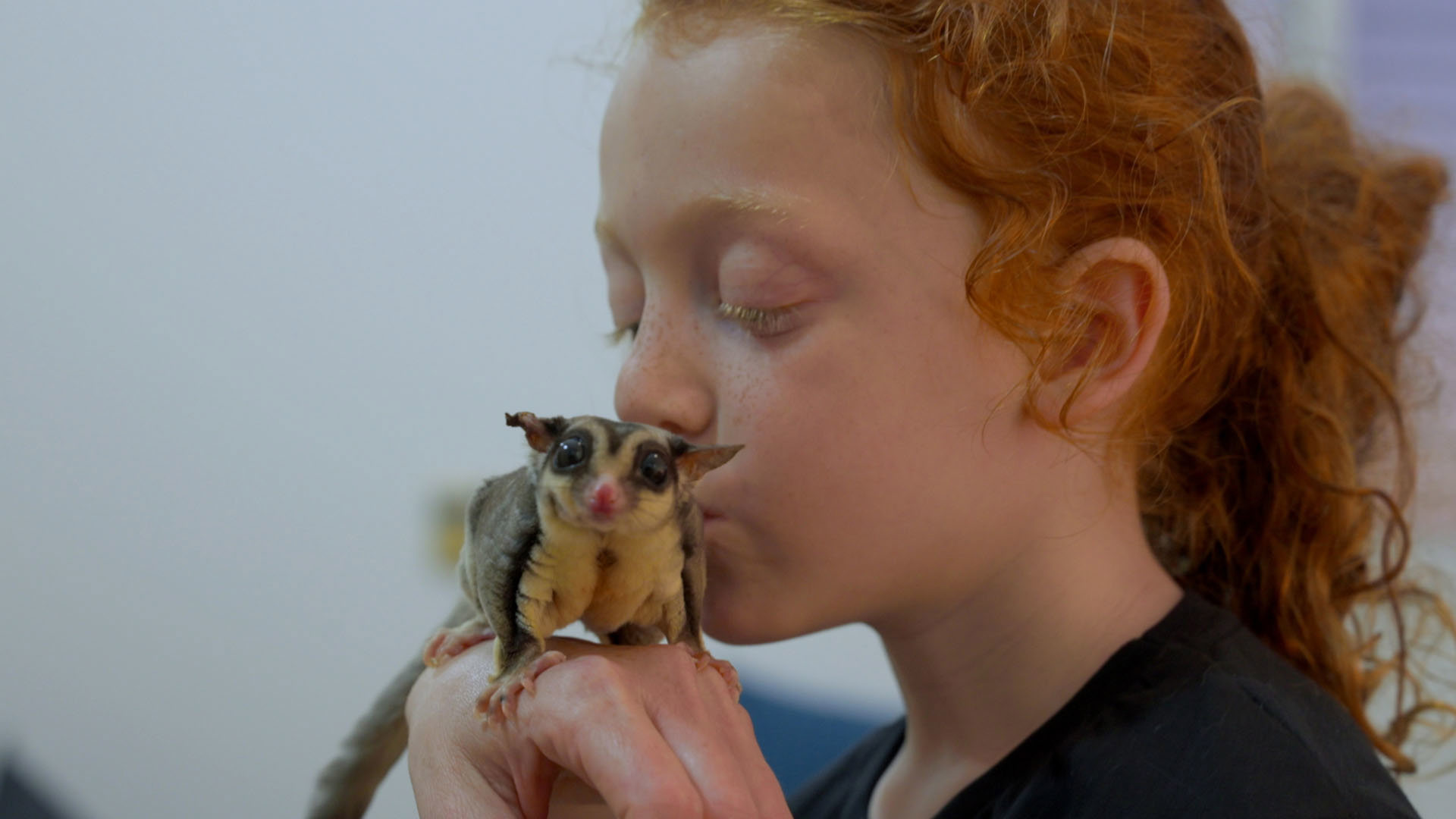 להציל את חיות הבית 3 פרק 5