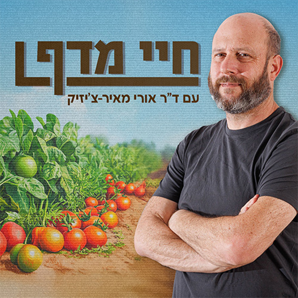 LOGO חיי מדף