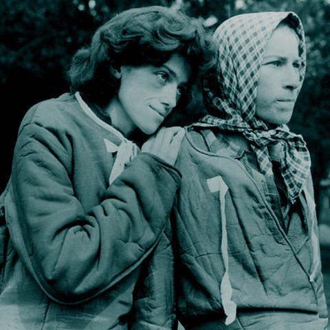 אש זרה 140426 ריבוע