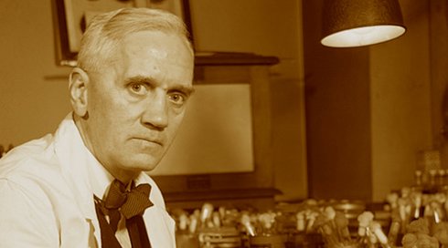 פלמינג מלבן