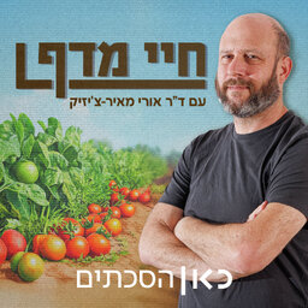 חיי מדף (1)