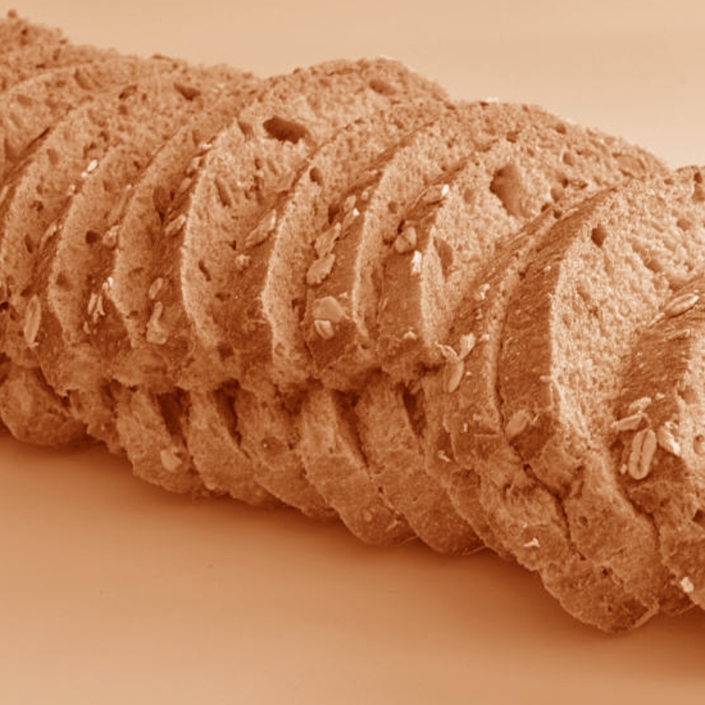 פרק 051225 500X500