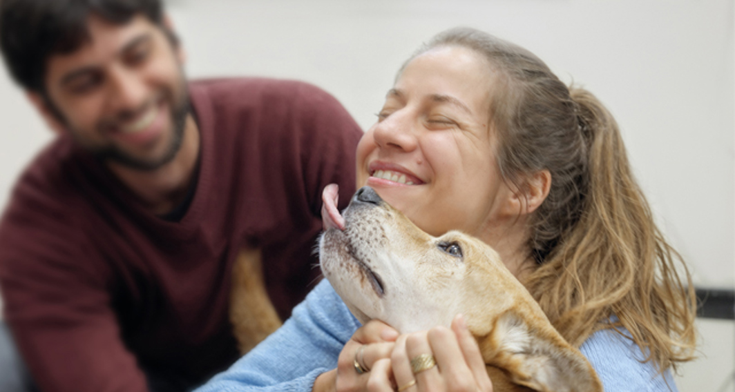 להציל את חיות הבית 3