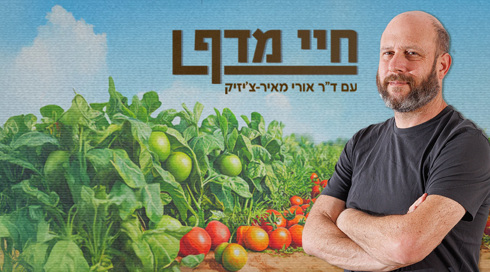 חיי מדף