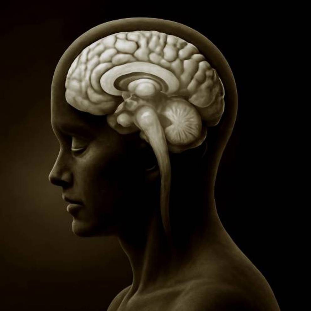 Square 500X500 (956)